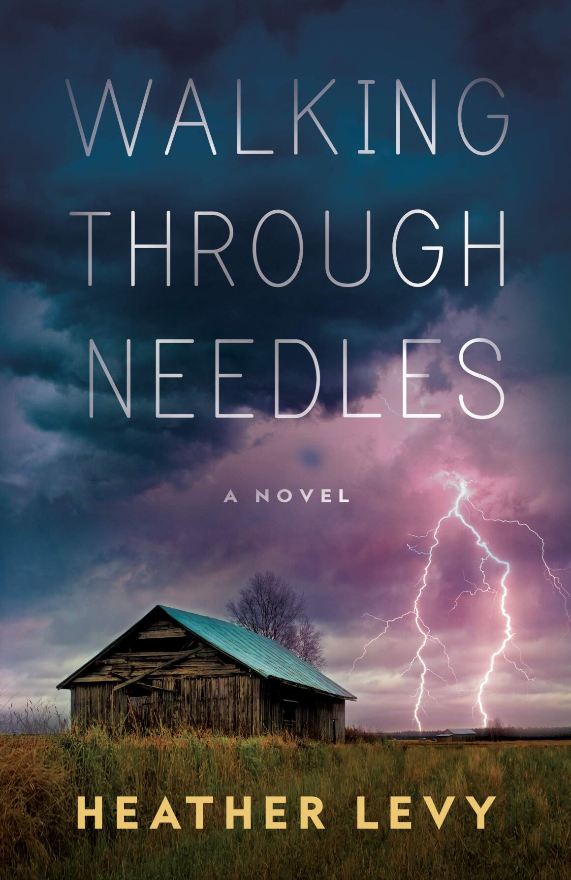 "Walking Through Needles"